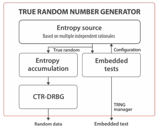 Block Diagram -- True Random Number Generator (TRNG)