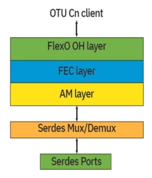 Block Diagram -- FlexO-1/2/4-SR / ZR100/200/300/400 Framers 