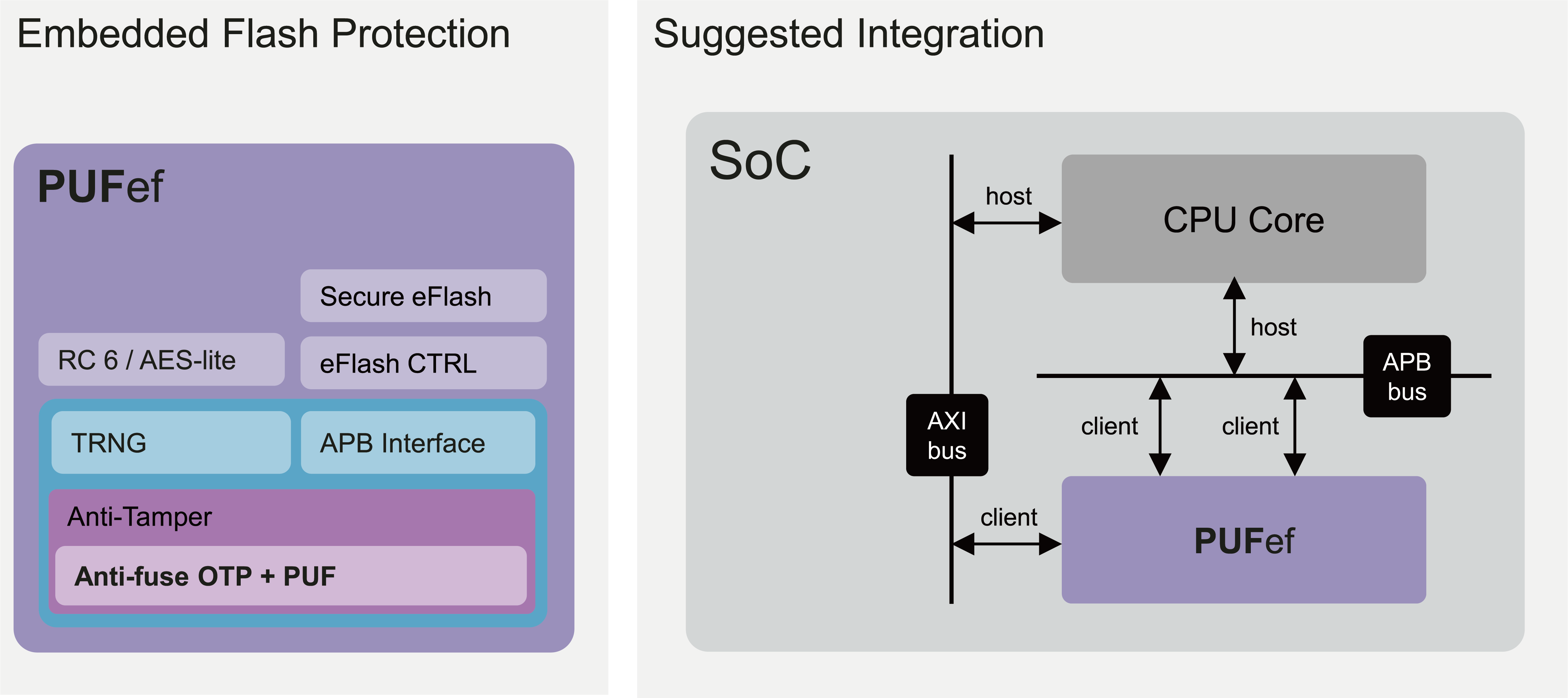 Block Diagram -- Embedded Flash Protection with Hardware Root of Trust and Lite Crypto Engine 