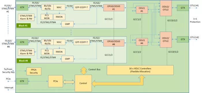 OTN Processor Block Diagram