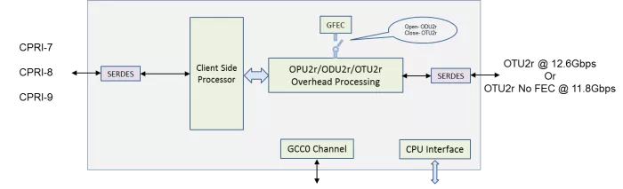 CPRI over OTN Processor Block Diagram