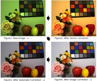 Block Diagram -- Image Signal Processor IP Core 