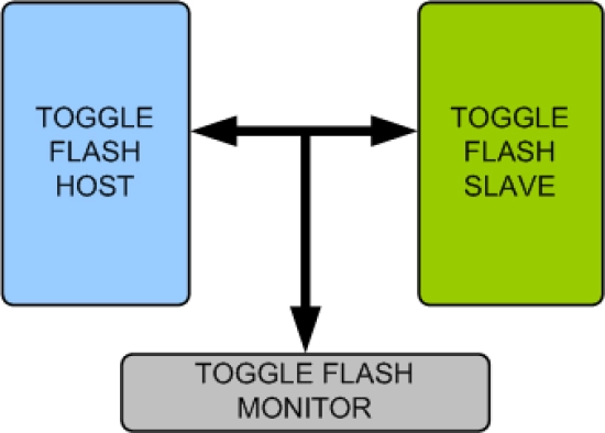 Toggle Flash Memory Model
 Block Diagram