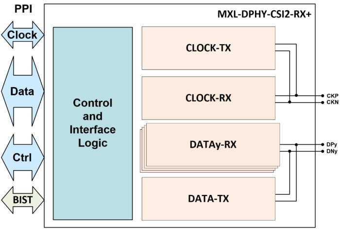 MIPI D-PHY RX+ (Receiver) IP Block Diagram