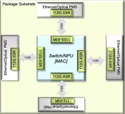 112G-VSR PAM4 SerDes PHY block diagram