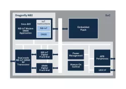 Ceva-Waves Dragonfly block diagram