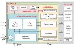IcyTRX-DM block diagram