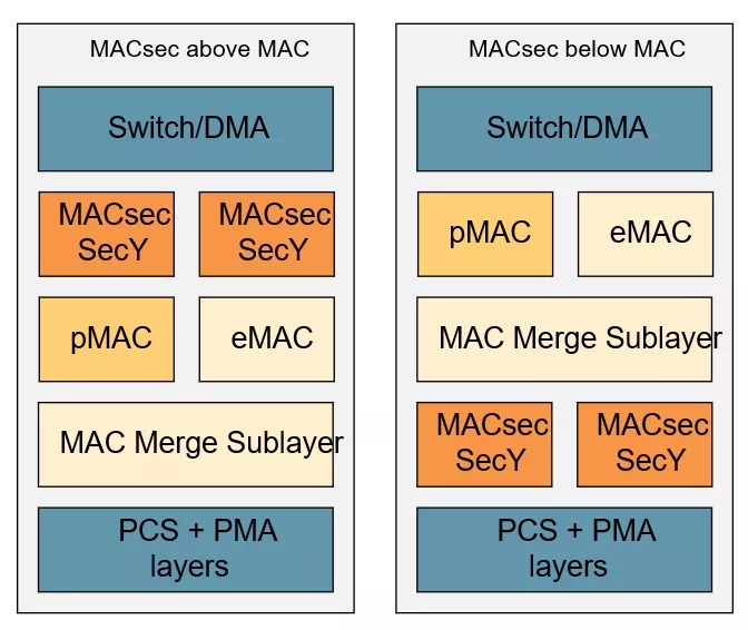 Different MACsec placements